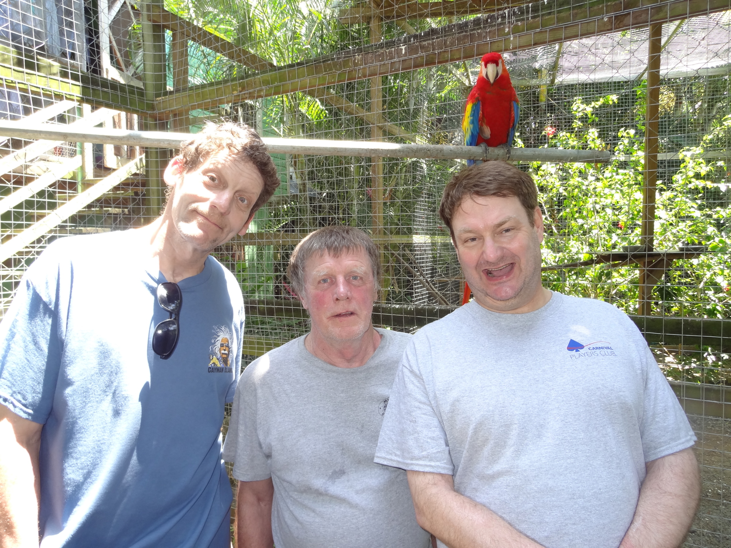 three men from New Challenges posing for a photo with a bird in the background